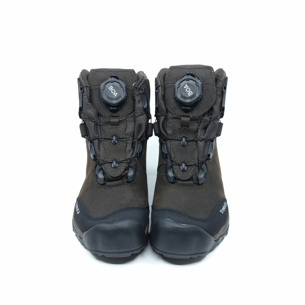 Lynx BOA - 6" GTX – Treksta