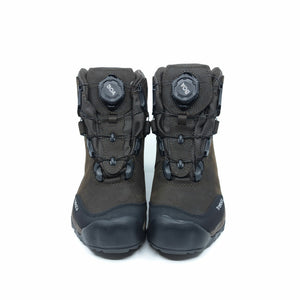 Lynx BOA - 6" GTX – Treksta