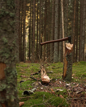 Skogøks – Øyo
