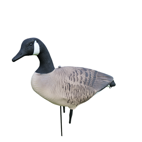 Fullbody - Canadagås - 12 stk – HuntElite