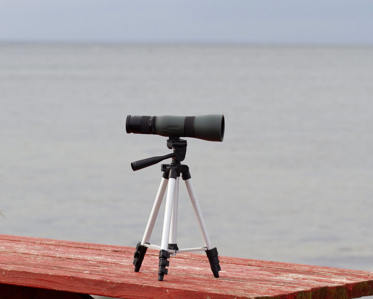 Heimdal XO - 11-33x56 kompakt spotting scope