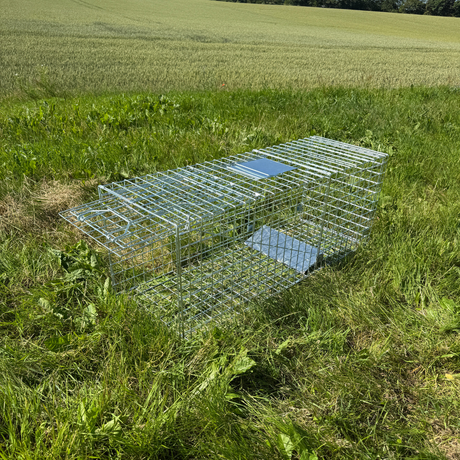 Rævefælde