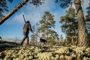 Chaser BGH Anorakk – Seeland