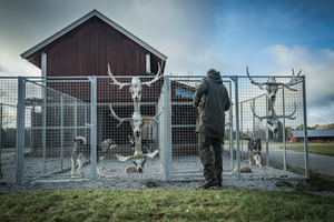 Chaser BGH Anorakk – Seeland