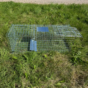 Rævefælde