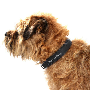 Hundehalsbånd, Small, Svart – Mountain Paws