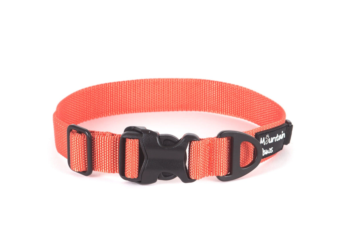 Ekstra robust hundehalsbånd, Small, Oransje – Mountain Paws