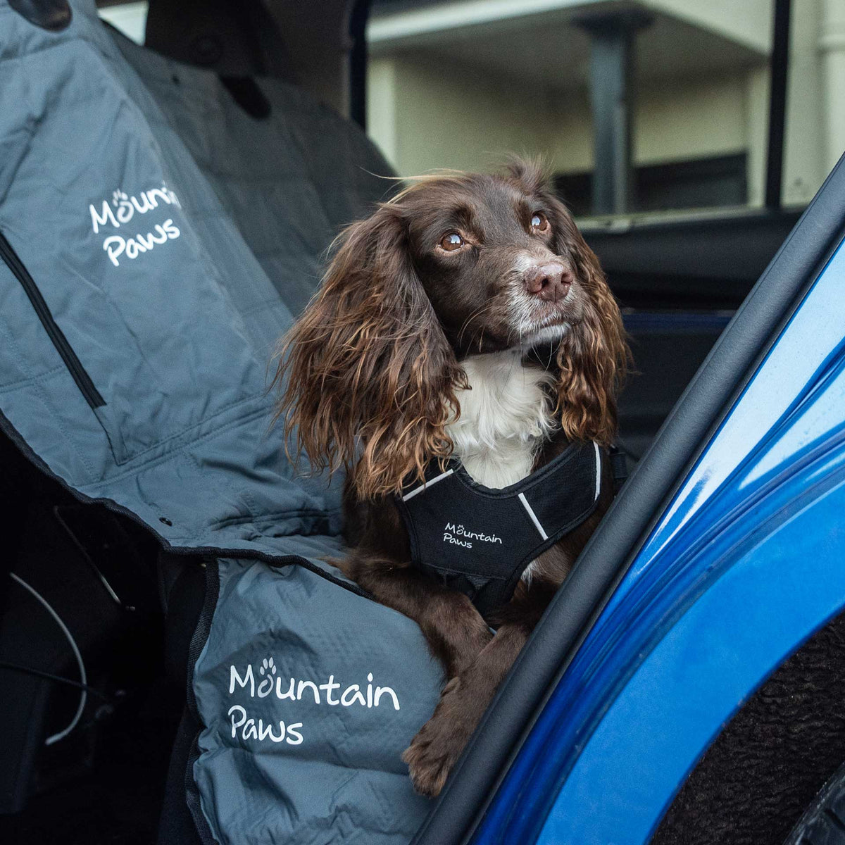 Ekstra slitesterkt bilseteovertrekk for hund – Mountain Paws