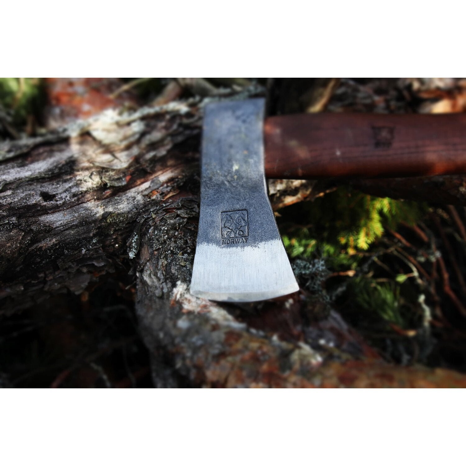 Skogøks – Øyo