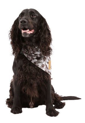 Alpha - Grey Dog Camo - Trespass