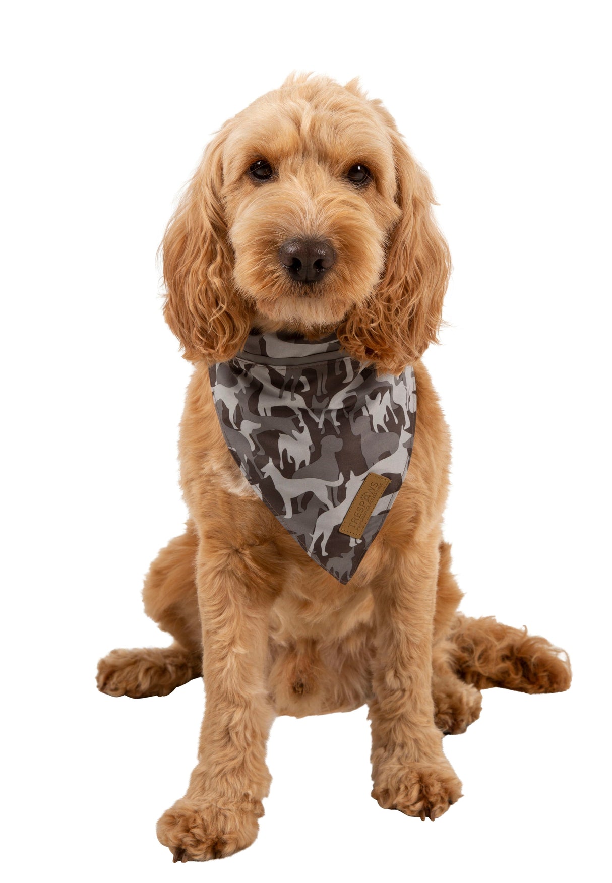Alpha - Grey Dog Camo - Trespass