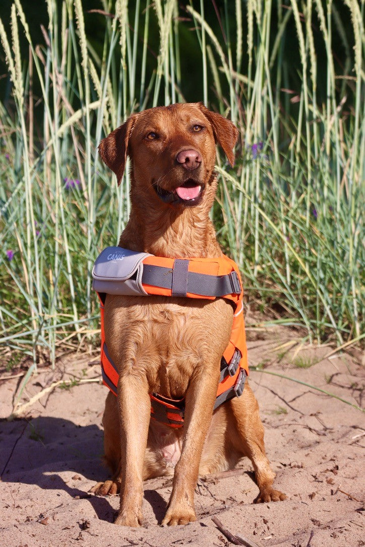 Life Jacket M