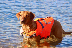 Life Jacket L
