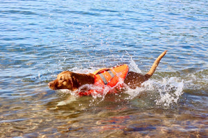 Life Jacket M