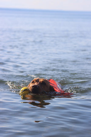 Life Jacket S