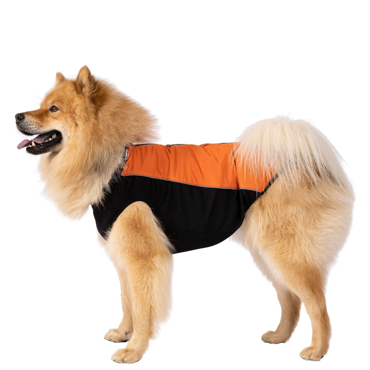 Beedle - Black/ Burnt Orange - Trespass