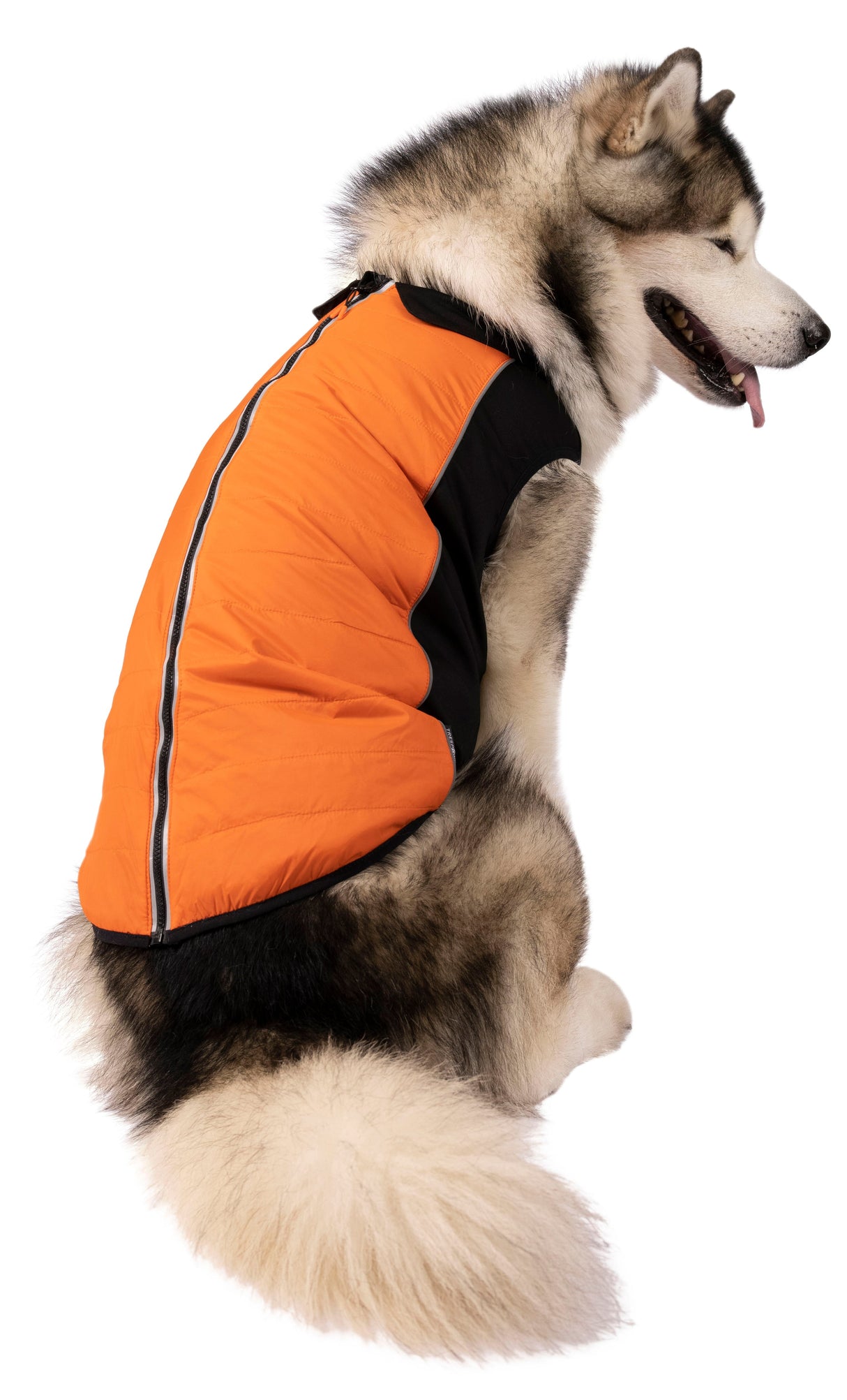 Beedle - Black/ Burnt Orange - Trespass