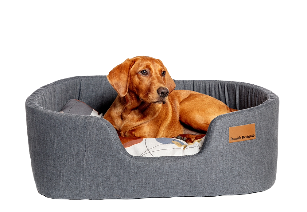 Colour Block Steel Lux Slumber Bed S