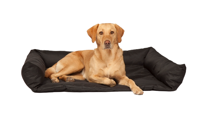 Boot Bed by Danish Design 80 x 60 x 17 cm