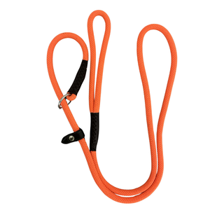 Retrieverline, 8 mm – Prof dog