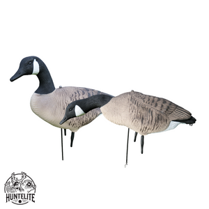 Fullbody - Canadagås - 12 stk – HuntElite