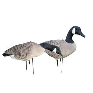Fullbody - Canadagås - 12 stk – HuntElite