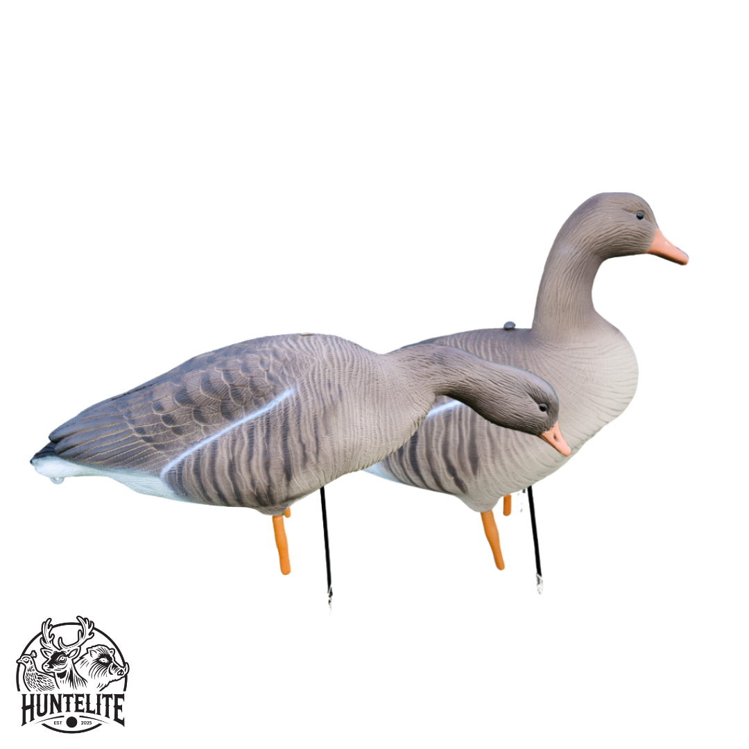 Fullbody - Grågjess - 12 stk – HuntElite