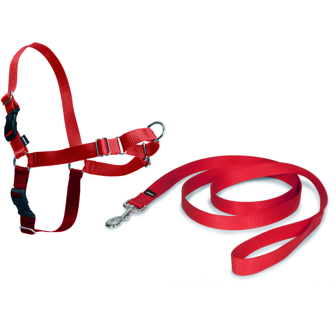 Easy Walk Sele Rød – Prof dog