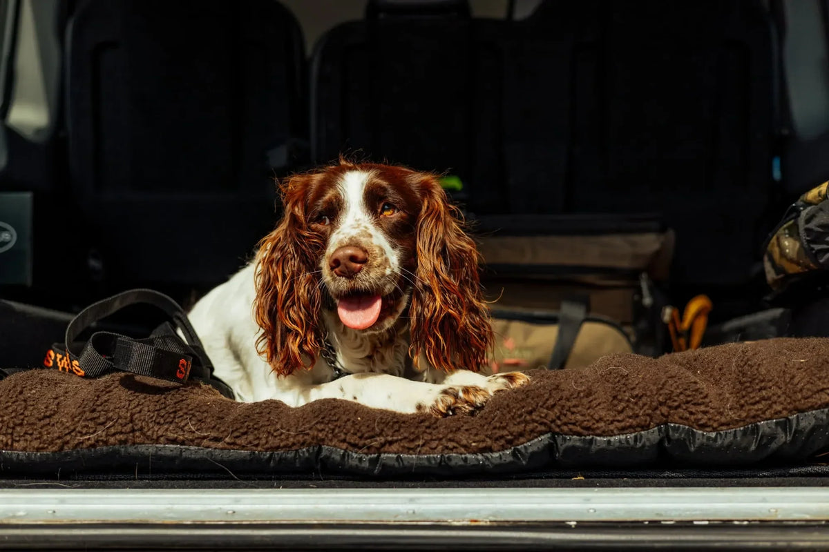 Dog Mat 70x100 cm - Accessory Brown - Swedteam