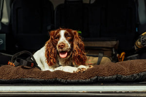 Dog Mat 70x100 cm - Accessory Brown - Swedteam