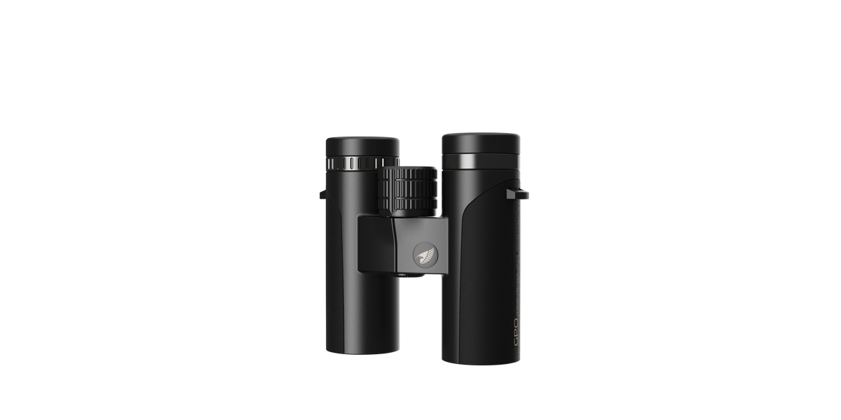 PASSION ED - 8x32 - Svart – GPO