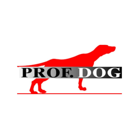 Prof Dog