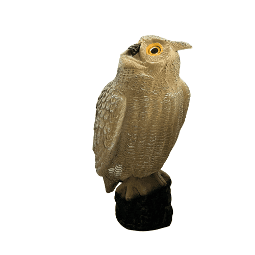Ugle med flock – Mjoelner