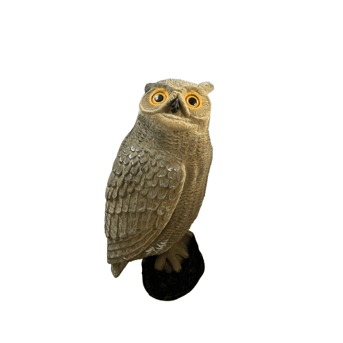 Ugle med flock – Mjoelner