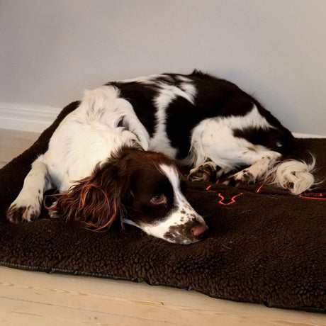 Dog Mat 70x100 cm - Accessory Brown - Swedteam