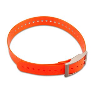 1" halsbåndsrem, firkantet spænde, small (orange) 1