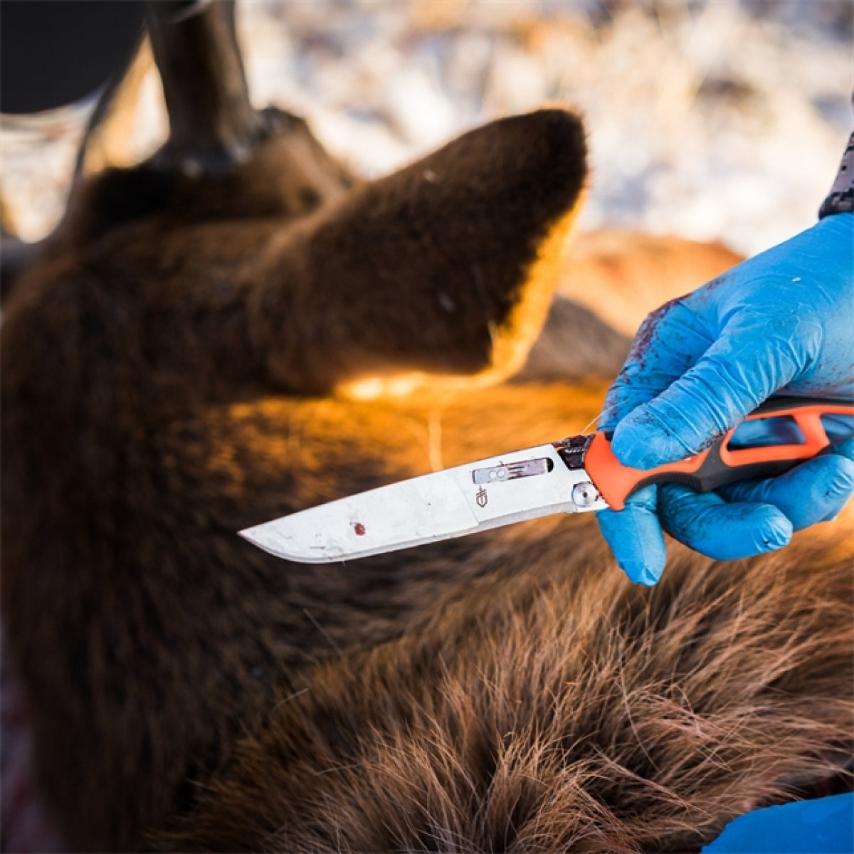 Randy Newberg - Fixed EBS – Gerber