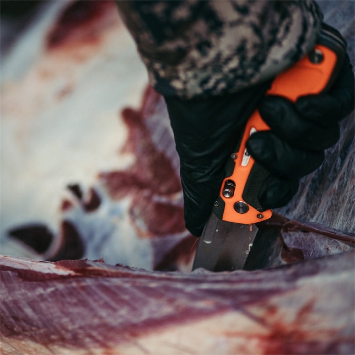 Randy Newberg - Folder – Gerber