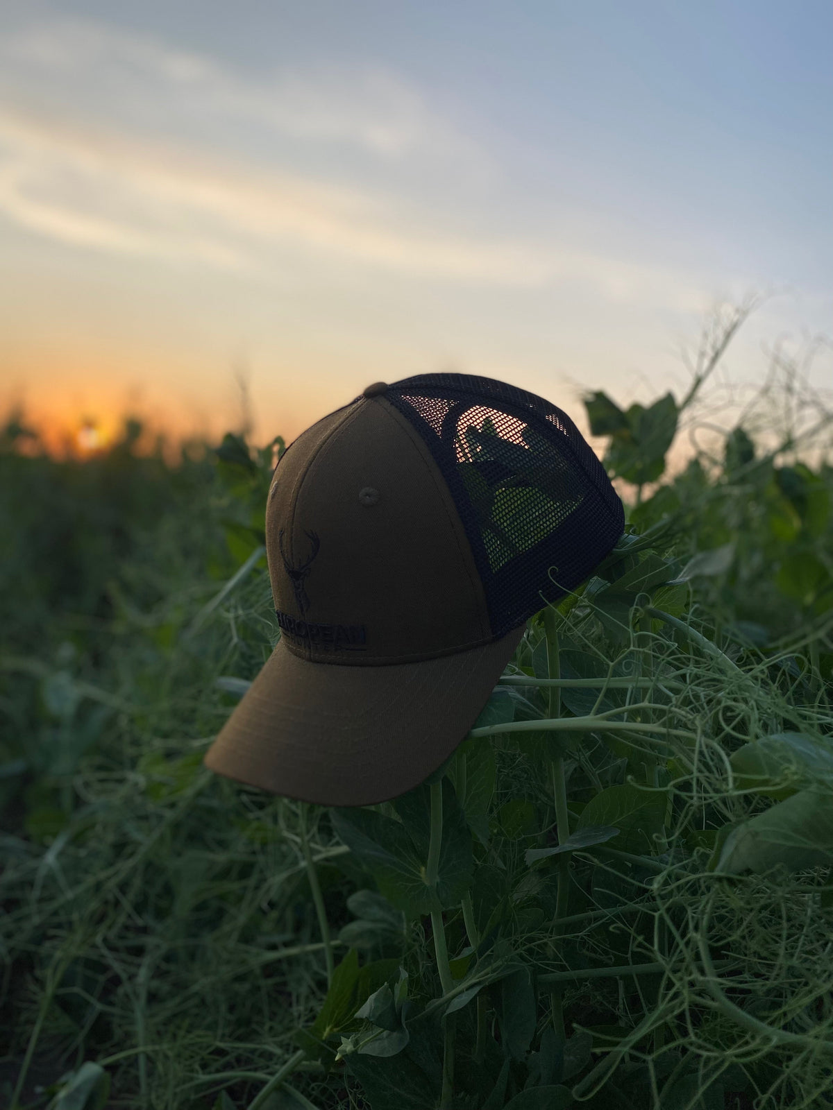 Signature Caps – European hunter