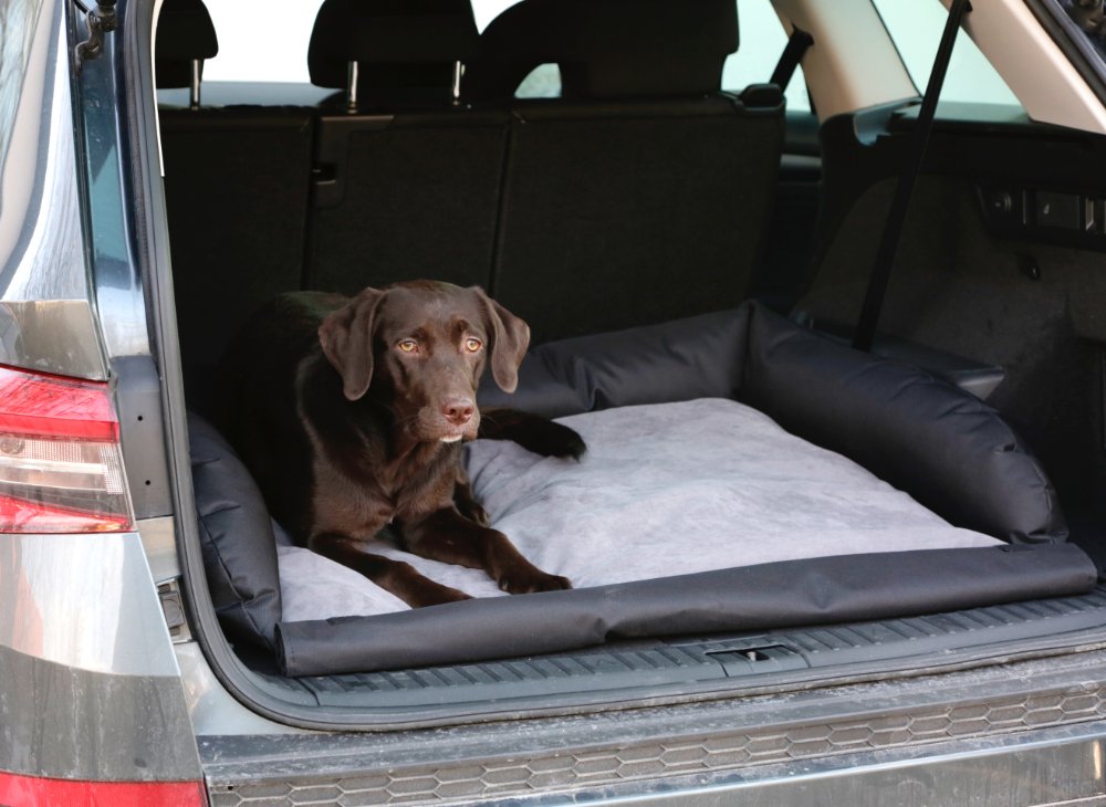 Hundeseng til bilen – 80x60cm – Kerbl