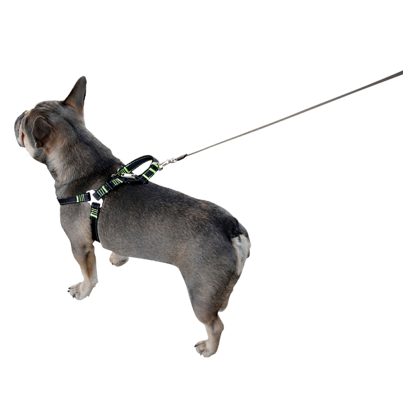 Sikkerhetssele for hund til bil – M – Kerbl