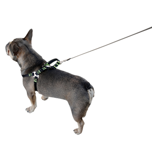 Sikkerhetssele for hund til bil – M – Kerbl