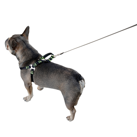 Sikkerhetssele for hund til bil – M – Kerbl