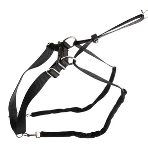 Hundesele Maxi Leader – Hals 25-30cm – Kerbl