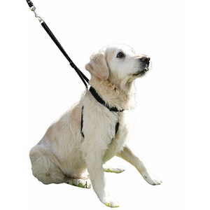 Hundesele Maxi Leader – Hals 25-30cm – Kerbl