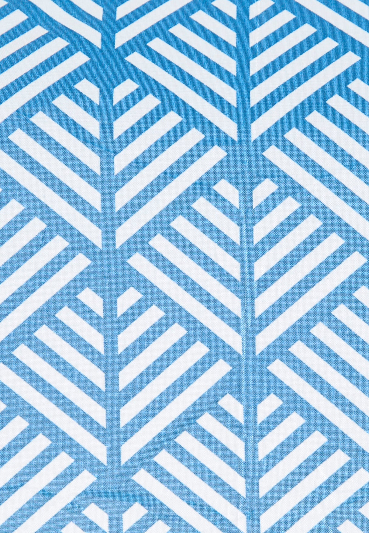 Maggiemay - Blue Chevron Print - Trespass
