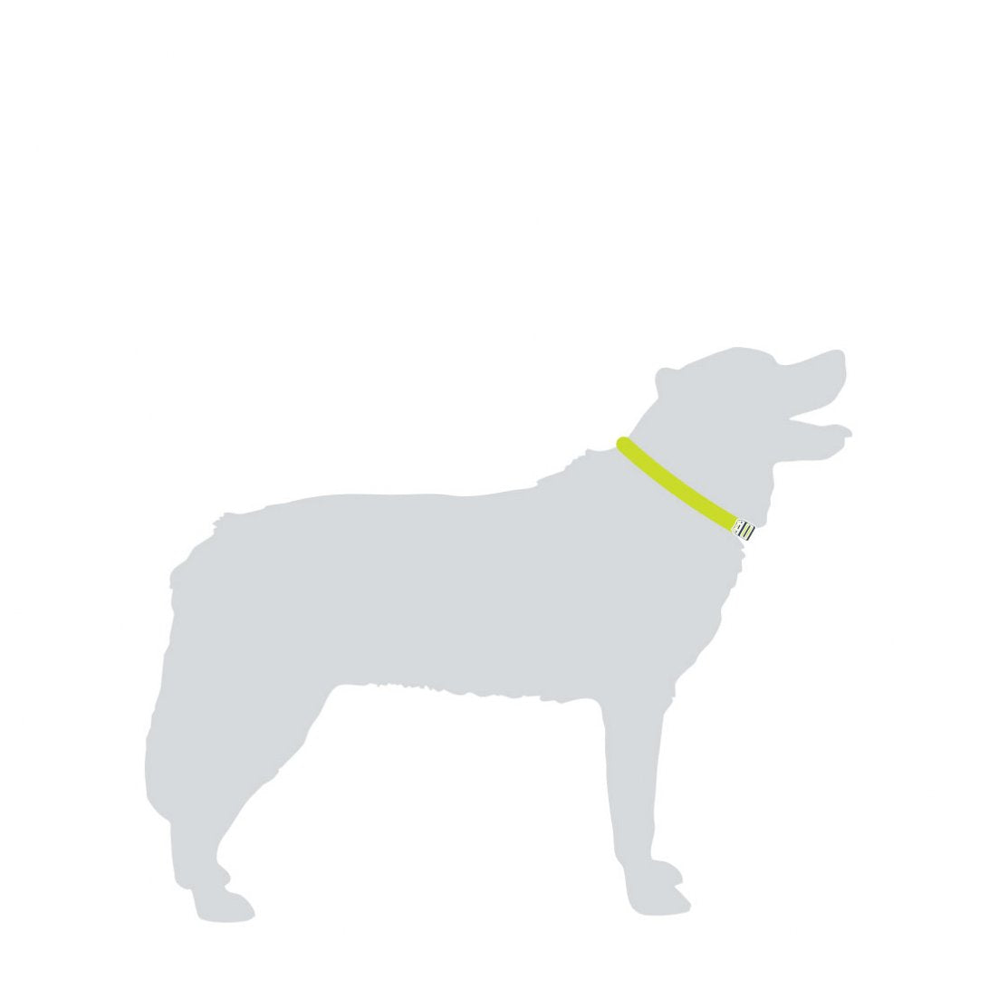 Hundehalsbånd, X-Large, Svart – Mountain Paws