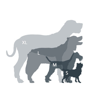 Hundehalsbånd, Small, Svart – Mountain Paws