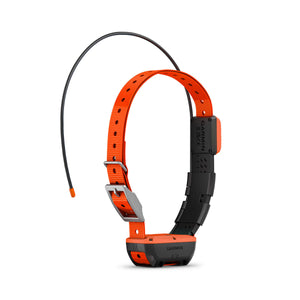 T20 hundehalsbånd – Garmin