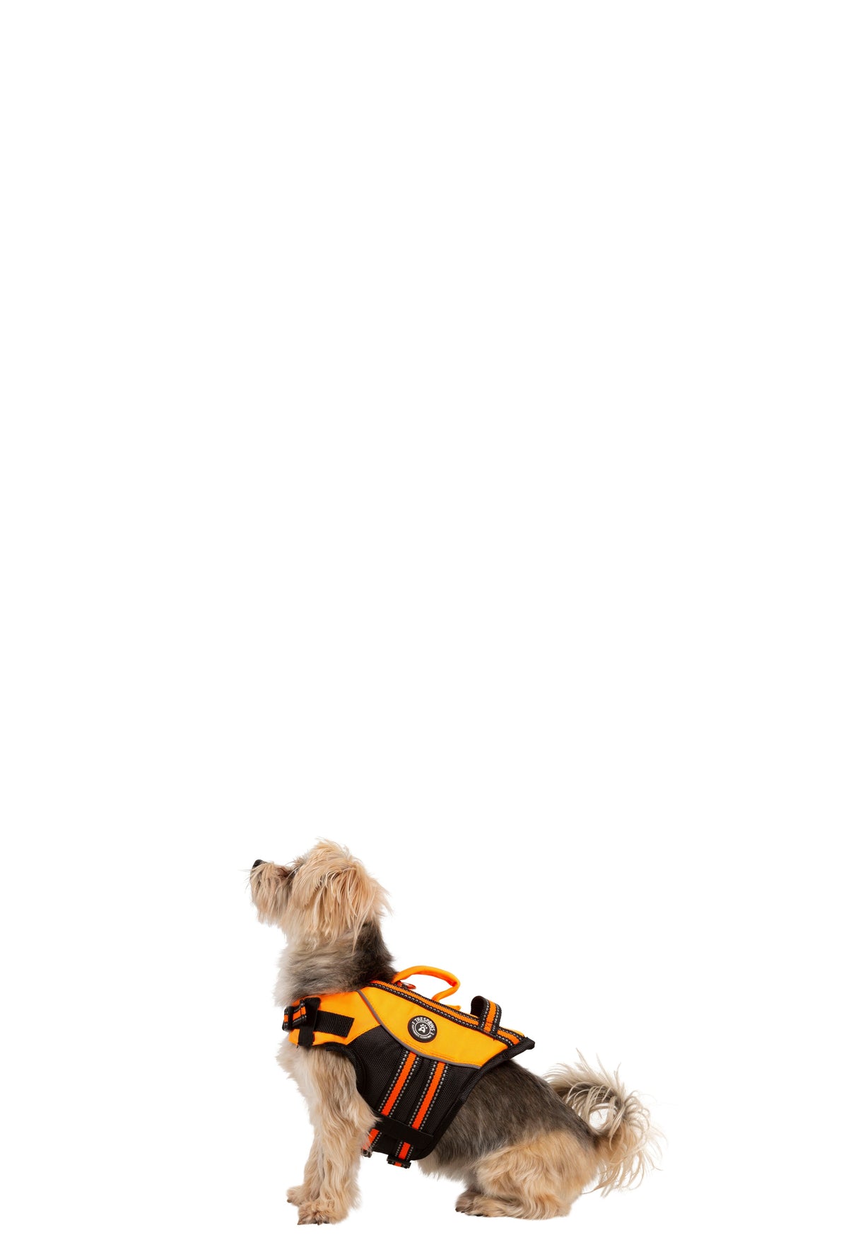 Surfdog - High Vis - Trespass
